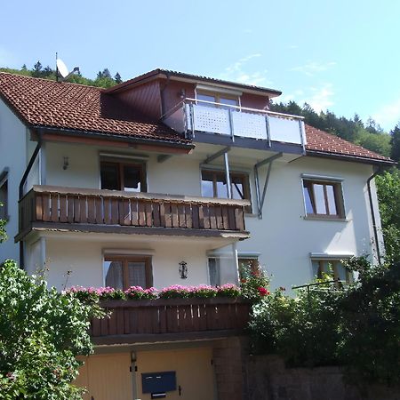 Haus Michler Apartment Todtnau Exterior foto