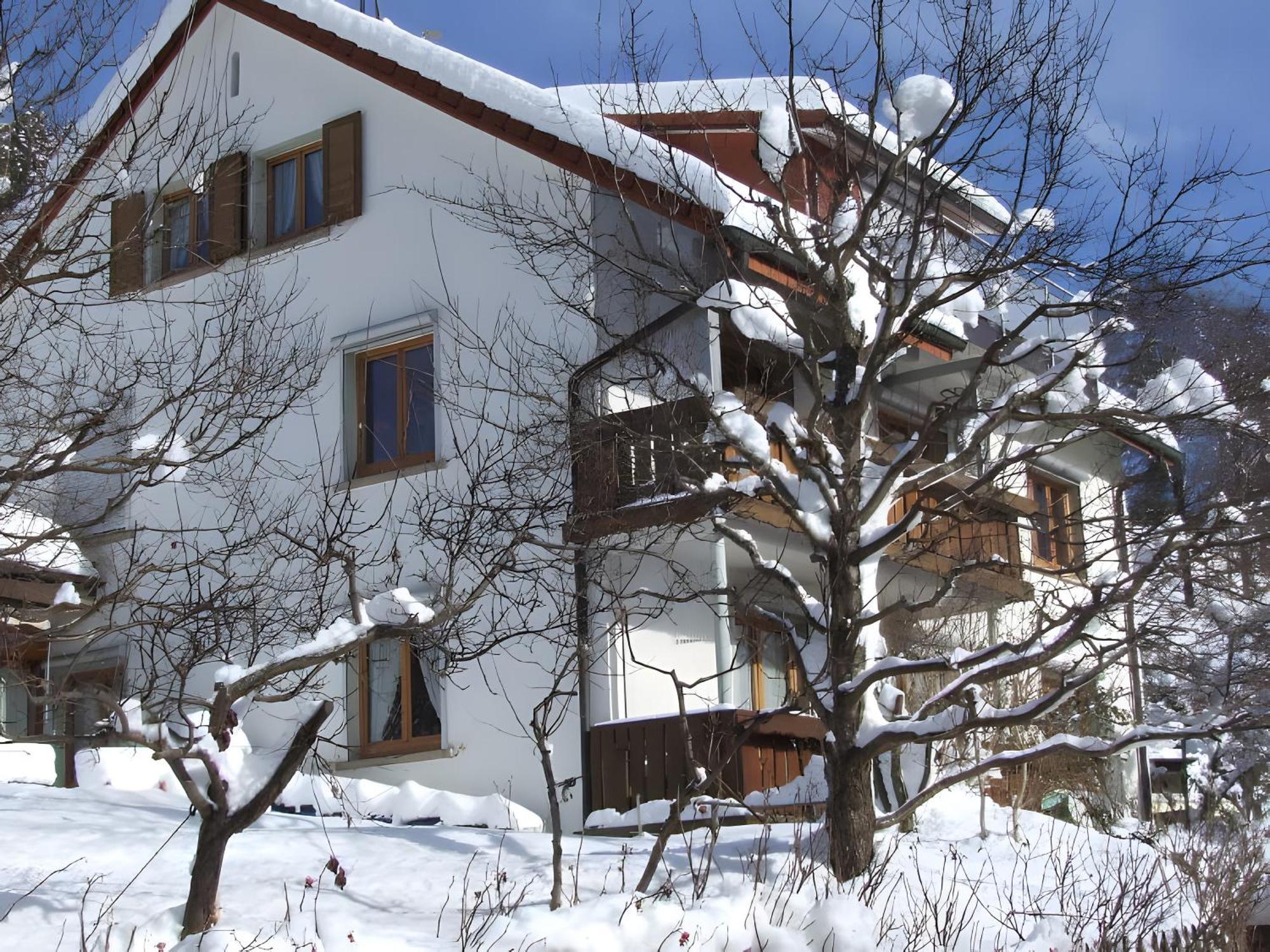 Haus Michler Apartment Todtnau Exterior foto